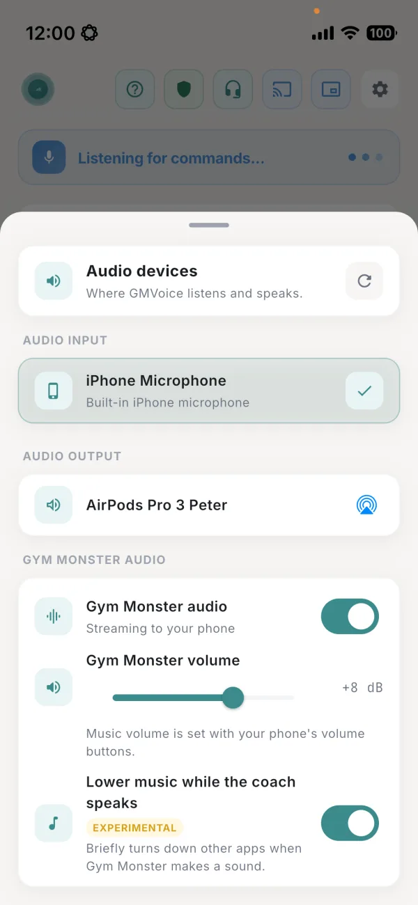 GMVoice Audio devices panel with a Bluetooth headset as microphone and audio output, and the Gym Monster audio switch turned on.